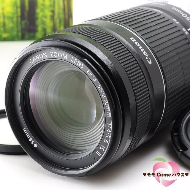 キャノン望遠レンズ★EF-S 55-250mm手ブレ補正つき☆1179-1