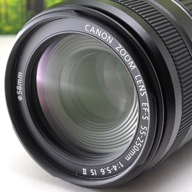 Canon EF-S 55-250mm★手ブレ補正つき望遠レンズ☆4039-1