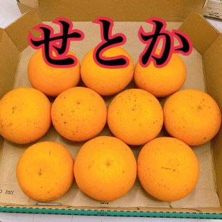 愛媛産　せとか(フルーツ)