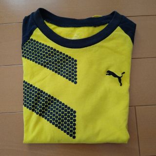 プーマ(PUMA)のプーマTシャツ150センチ(Tシャツ/カットソー)