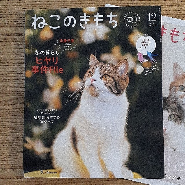 ねこのきもち３冊セット(おまけつき) エンタメ/ホビーの雑誌(アート/エンタメ/ホビー)の商品写真