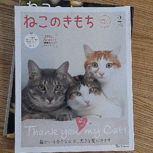 ねこのきもち３冊セット(おまけつき) エンタメ/ホビーの雑誌(アート/エンタメ/ホビー)の商品写真