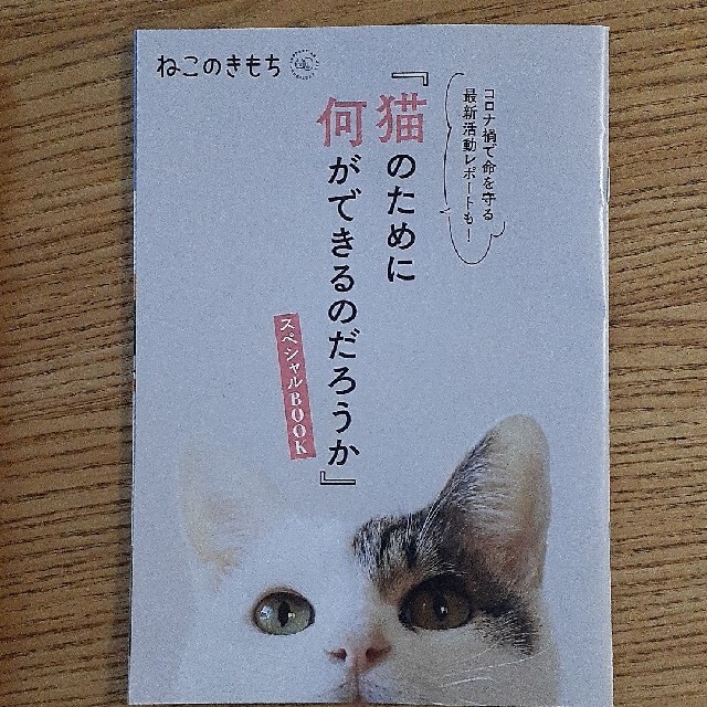 ねこのきもち３冊セット(おまけつき) エンタメ/ホビーの雑誌(アート/エンタメ/ホビー)の商品写真