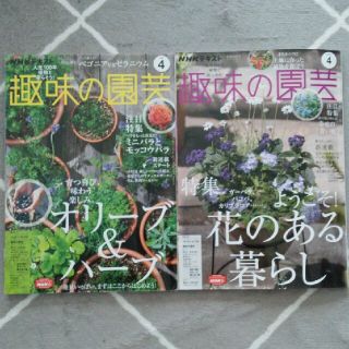 趣味の園芸　2021年４月号　2022年４月号(専門誌)