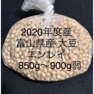 大豆 【富山県産エンレイ2020年度産】850g~900g弱【お値下げ不可】(野菜)