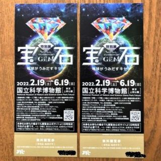 宝石展_無料観覧券_2枚_2022/6/19迄(美術館/博物館)