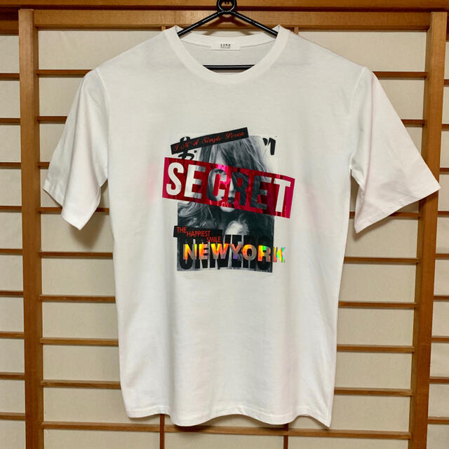 【新品・未使用】ゆったり着れるサイズのフォトプリントＴシャツ レディースのトップス(Tシャツ(半袖/袖なし))の商品写真