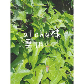 aloha様専用　お名前シール(ネームタグ)