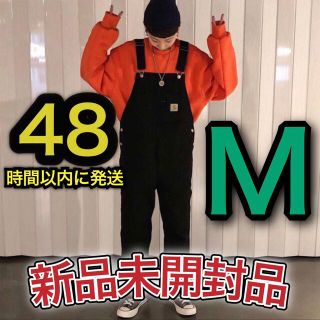 カーハート(carhartt)のCARHARTT カーハート オーバーオール　新品未使用品　Mサイズ(サロペット/オーバーオール)