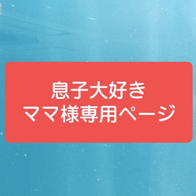 専用ページ その他のその他(その他)の商品写真