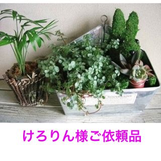 けろりん様ご依頼品(その他)