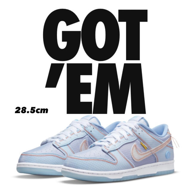 【新品タグ付:28.5cm】UNION LA × NIKE DUNK LOW