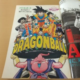 集英社 - my様専用週刊少年ジャンプ 1995年17号 ドラゴンボール巻頭