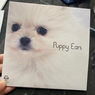 犬、猫しつけCD(その他)