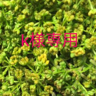 k様専用　花山椒200g(野菜)