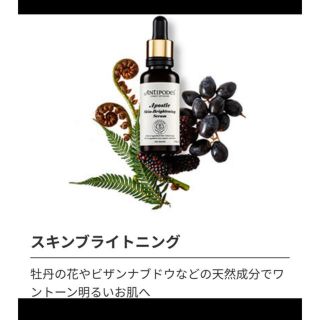 コスメキッチン(Cosme Kitchen)のアンティポディース ★ アポスル Bセラム ブライトニングセラム 美容液 10㎖(美容液)