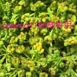 cosimo 1188様専用　花山椒　50g(野菜)