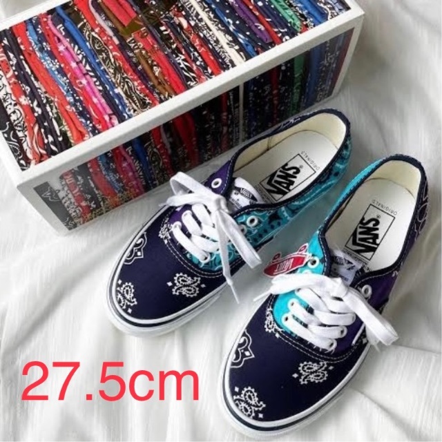 SALE 27.5cm VANS BEDWIN AUTHENTIC