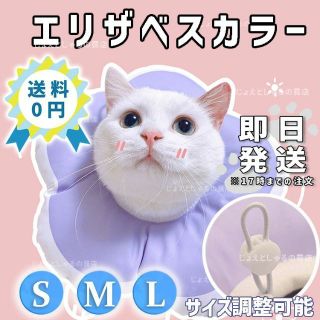 【パープルM】ソフトエリザベスカラー 術後ウェア 猫犬 皮膚病ケア 雄雌撥水防水(猫)