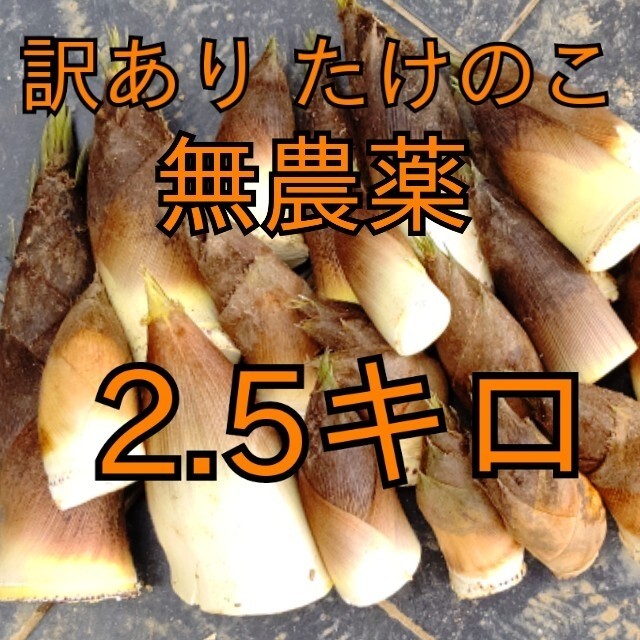 タケノコ 竹の子 筍 たけのこ 野菜 訳あり 傷あり つめあわせ 無農薬 食品/飲料/酒の食品(野菜)の商品写真