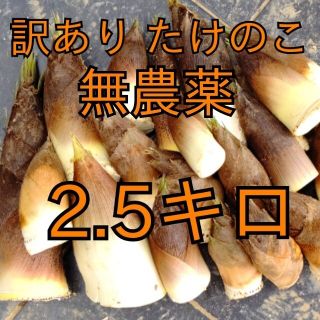 タケノコ 竹の子 筍 たけのこ 野菜 訳あり 傷あり つめあわせ 無農薬(野菜)