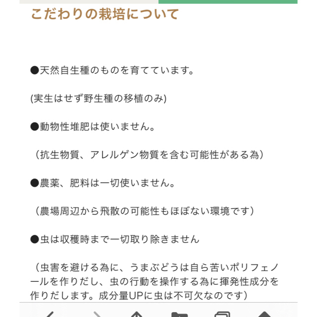 エマ様　ご専用ページ💕 食品/飲料/酒の飲料(茶)の商品写真