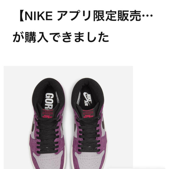 NIKE エアジョーダン 1 GORE-TEX エレメント ベリー 26.5 即日発送