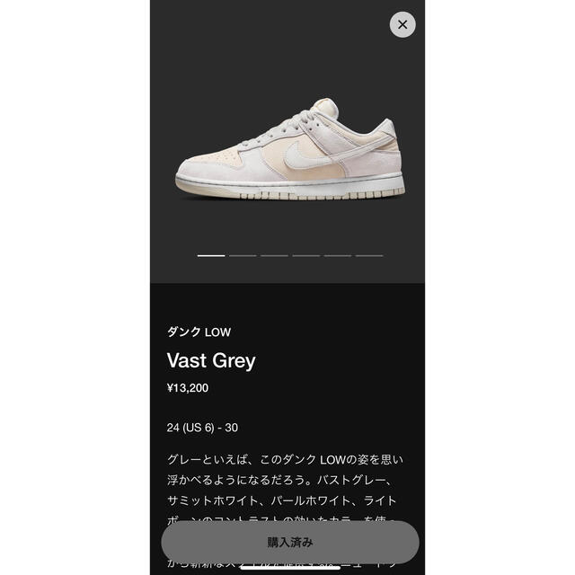 メンズNIKE ダンクlow vast gray /ダンクロー バストグレー