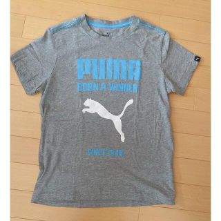 プーマ(PUMA)のPUMA Tシャツ　150(Tシャツ/カットソー)