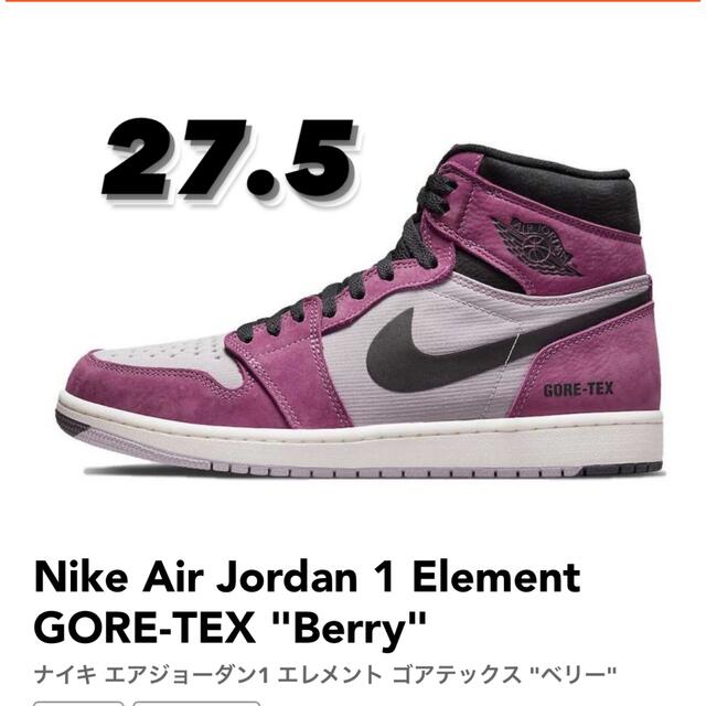 Nike Air Jordan 1 Element GORE-TEX