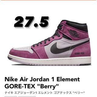 ナイキ(NIKE)のNike Air Jordan 1 Element GORE-TEX (スニーカー)