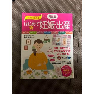 やさしくわかる月数別はじめての妊娠・出産(結婚/出産/子育て)