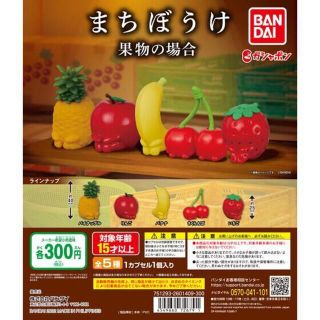 まちぼうけ　果物の場合　全5種セット　フルコンプ　ガチャ　コンプリート(キャラクターグッズ)