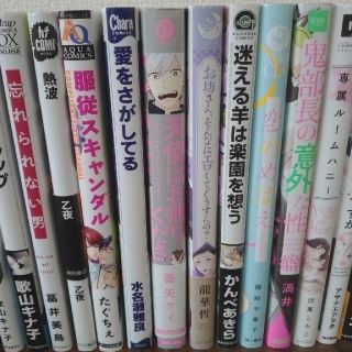 BLコミック 25冊セット BLコミックまとめ売り bl漫画の通販 by ...