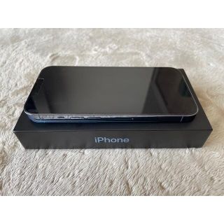 アイフォーン(iPhone)のiPhone13 Pro 128GB シエラブルー　SIMフリー中国購入新品同様(携帯電話本体)