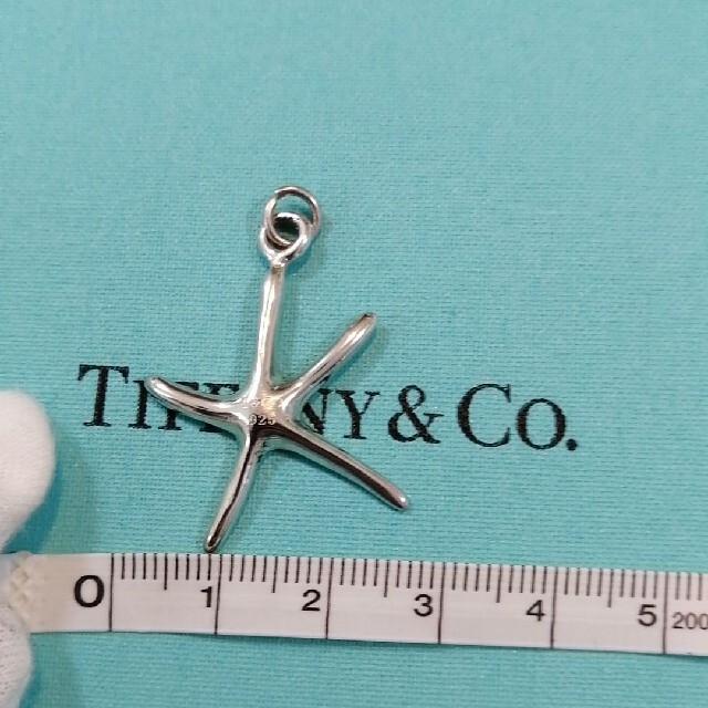 Tiffany & Co.(ティファニー)のティファニー　スターフィッシュ　ヒトデ　ネックレストップ　ペンダントチャーム レディースのアクセサリー(チャーム)の商品写真