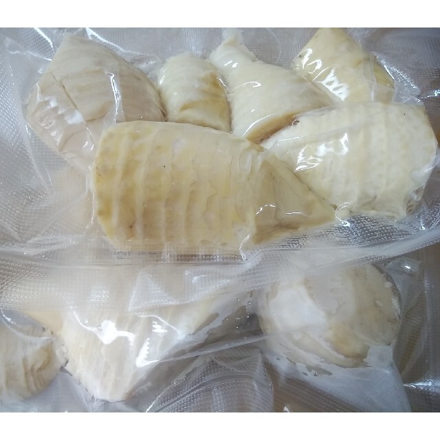 たけのこ水煮 食品/飲料/酒の加工食品(缶詰/瓶詰)の商品写真