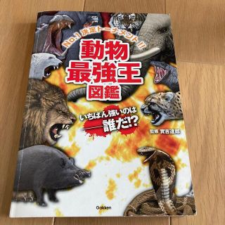 動物最強王図鑑(絵本/児童書)