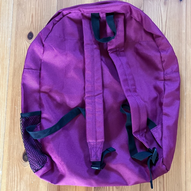 MIZUNO(ミズノ)のランバード　ナイロンディパック メンズのバッグ(バッグパック/リュック)の商品写真