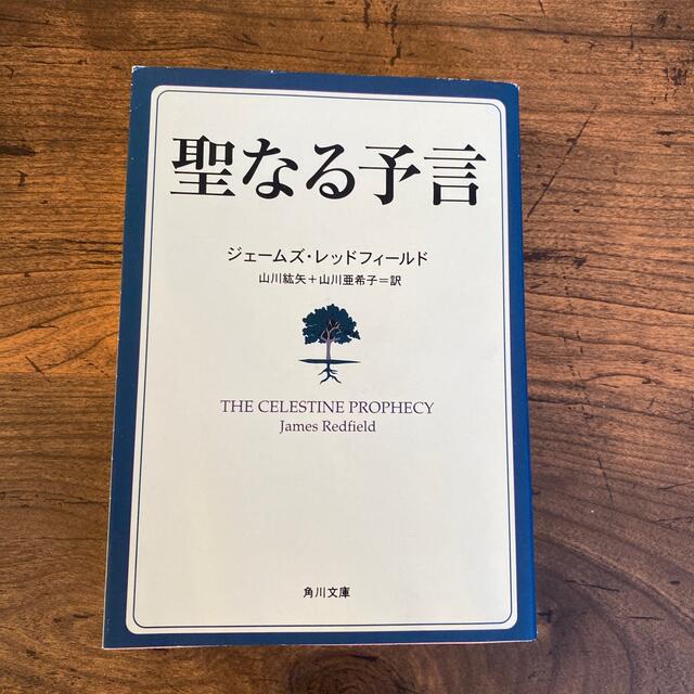 聖なる予言 エンタメ/ホビーの本(その他)の商品写真