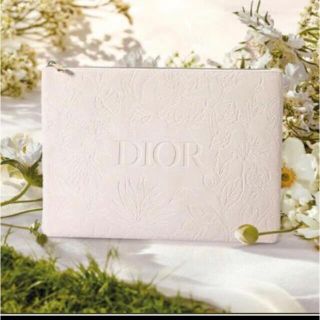 ディオール(Dior)のディオール　ポーチ(ポーチ)