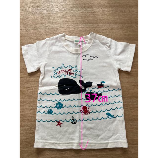 3can4on(サンカンシオン)の3can4on キッズ　Tシャツ キッズ/ベビー/マタニティのキッズ服男の子用(90cm~)(Tシャツ/カットソー)の商品写真