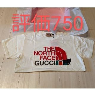 ザノースフェイス(THE NORTH FACE)の✨希少✨Tシャツ　THE NORTH FACE×GUCCI(ノース × グッチ）(Tシャツ/カットソー(半袖/袖なし))