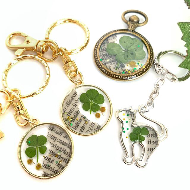 五つ葉のクローバー 四つ葉のクローバー 六つ葉のクローバー 苗 シロツメクサ ハンドメイドのフラワー/ガーデン(その他)の商品写真