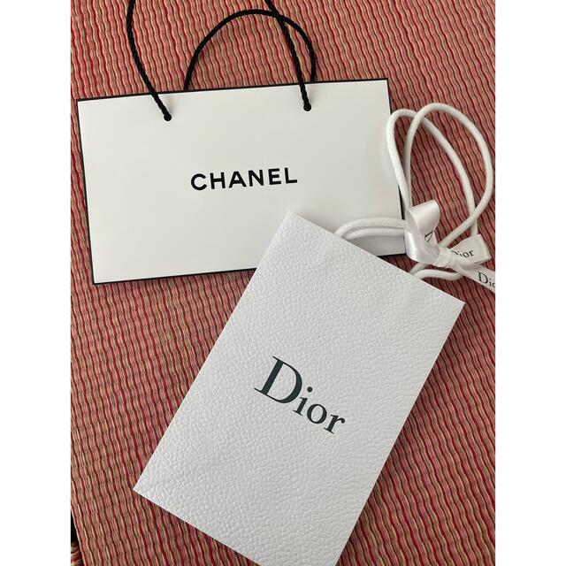 90%OFF】 Dior LOEWE CHANEL等 ショップ袋 starlabspettacoli.it