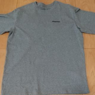 パタゴニア(patagonia)のpatagoniaロングTシャツ(Tシャツ/カットソー(七分/長袖))