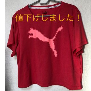 プーマ(PUMA)のPUMA Tシャツ　160(Tシャツ/カットソー)