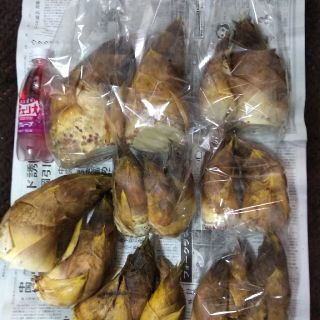 kikiさま専用です。　岡中新鮮たけのこ(野菜)