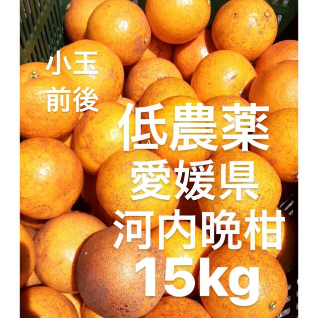 愛媛県産 低農薬 宇和ゴールド 河内晩柑 15kg