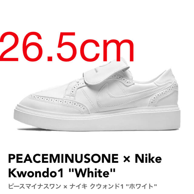 靴/シューズNIKE KWONDO1/PEACEMINUSONE ナイキ クウォンド1